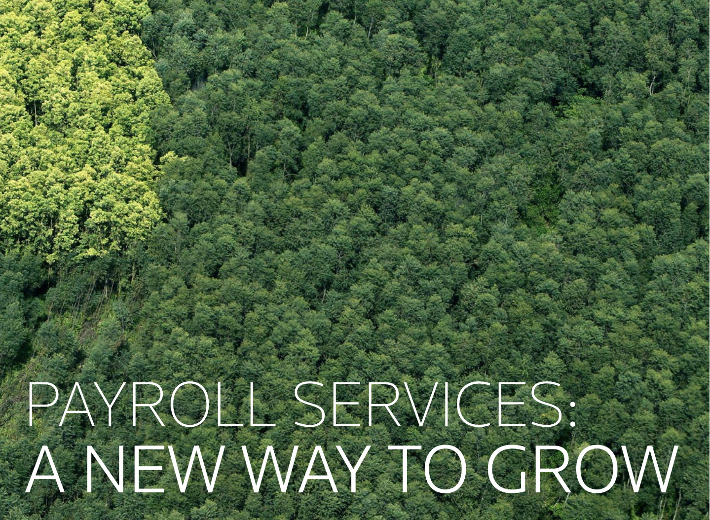 payroll service whitepaper new way to grow