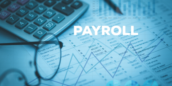 How Payroll Systems Work: A Small Business Guide Payroll Vault How Payroll Systems Work: A Small Business Guide Payroll Vault