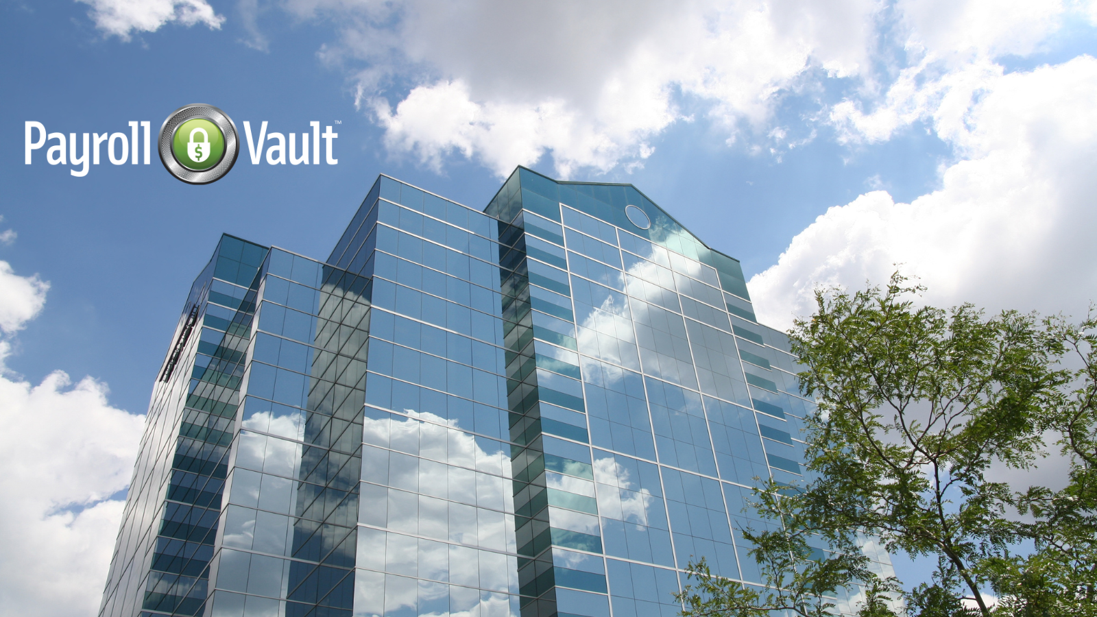 S-Corp Payroll: The Top 4 Questions Answered | Payroll Vault